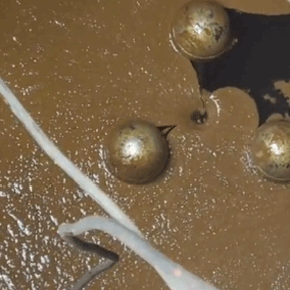 油水分離一體機(jī)